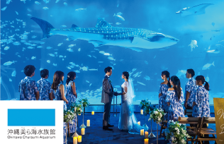 ウェディングフォト