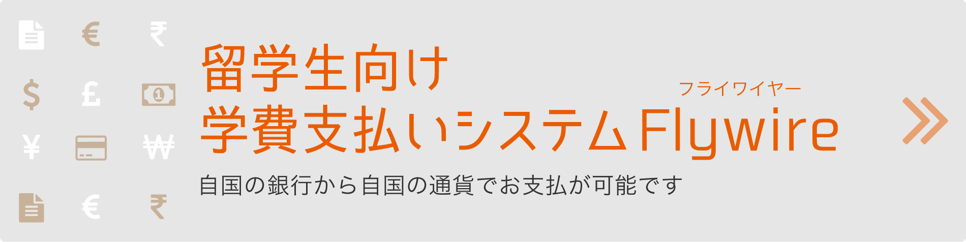 フライワイヤーのご紹介