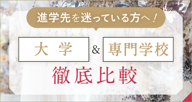 大学・専門学校 違いを徹底比較