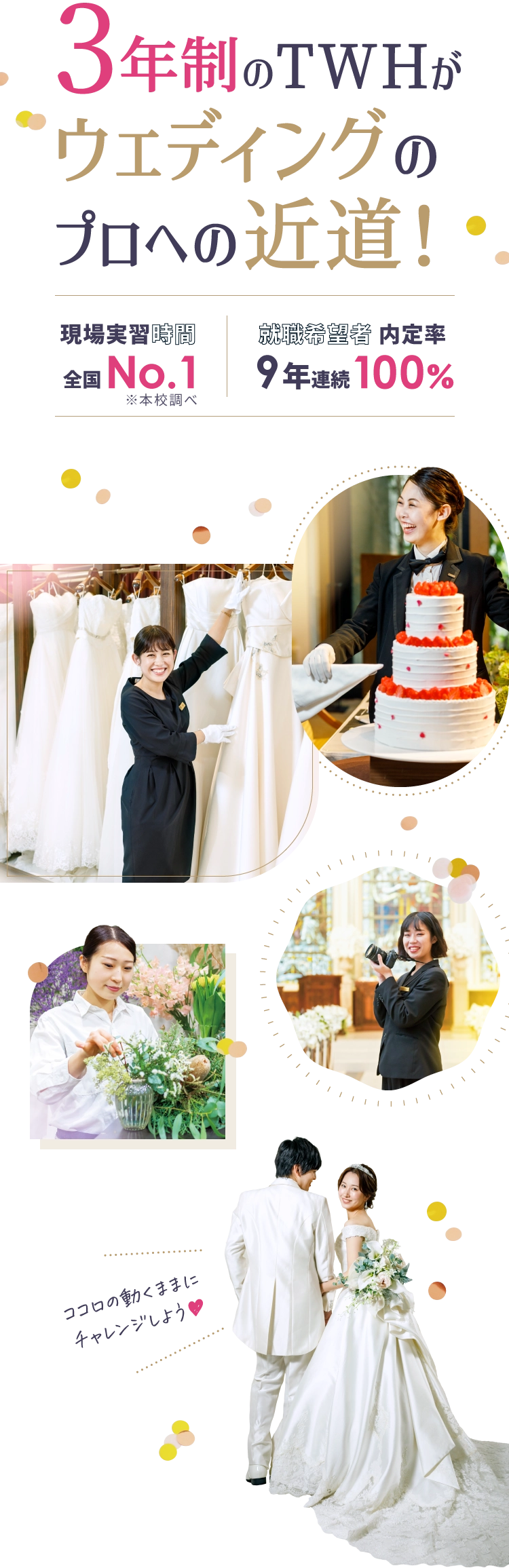 3年制のTWHがウェディングのプロへの近道！現場実習時間 都内No.1 就職希望者内定率9年連続100%