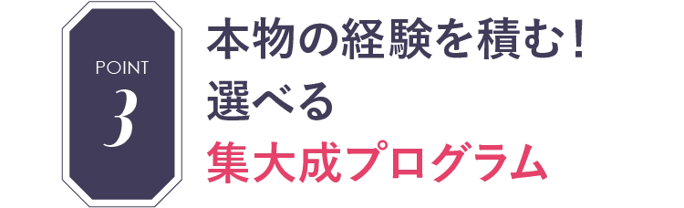 POINT3 本物の経験を積む！選べる集大成プログラム