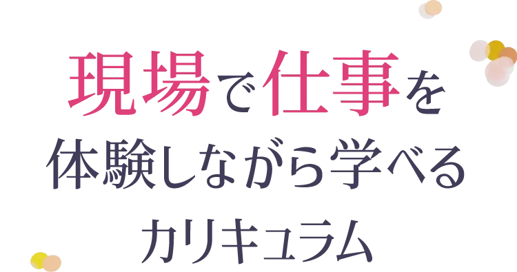 現場で仕事を体験しながら学べるカリキュラム